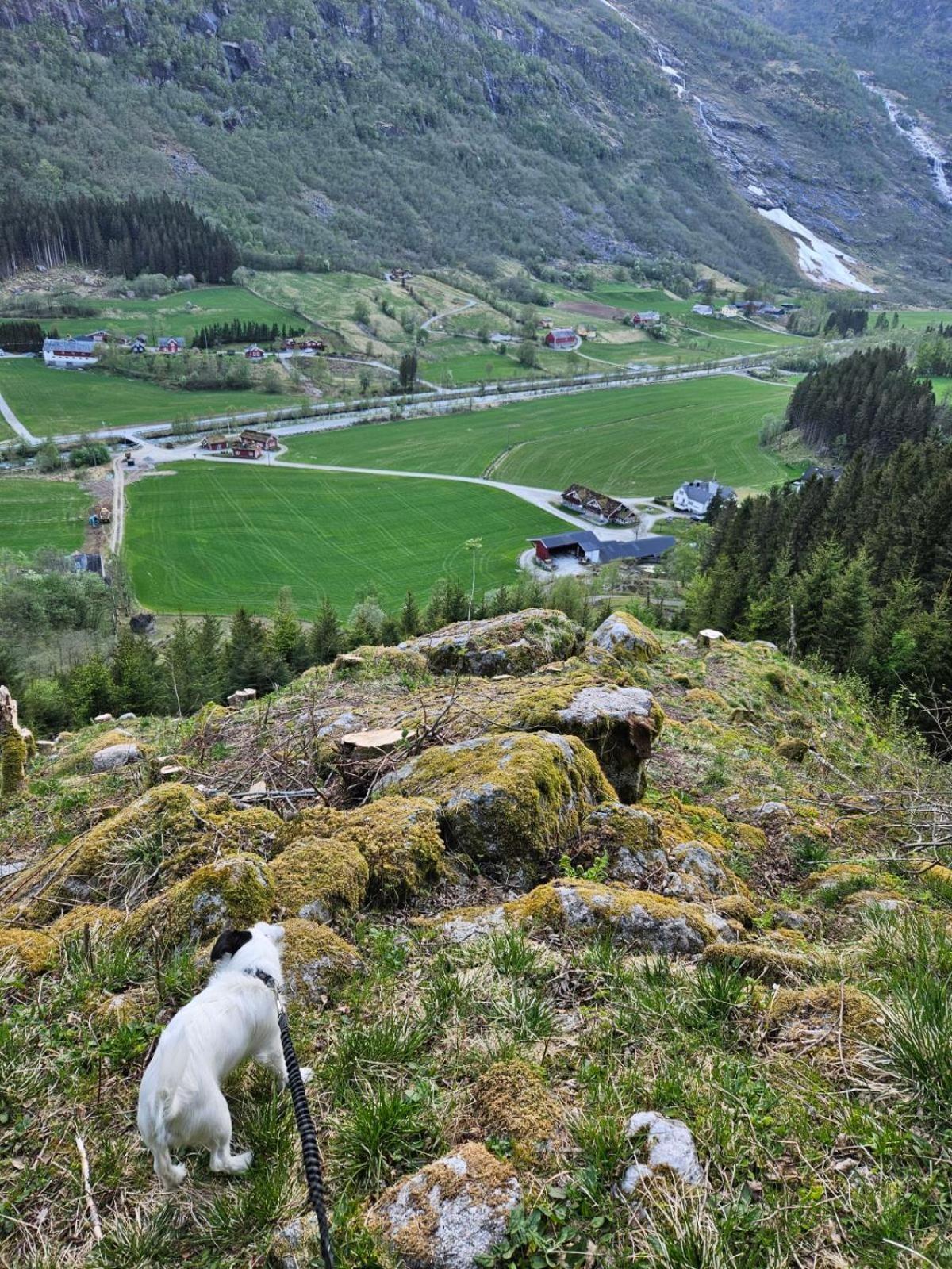 Villa Trollbu Aabrekk Gard Briksdalsbre Esterno foto
